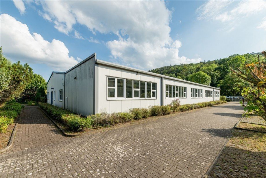 Halle - Nord-West-Ansicht Haus Eisenach , Th�r