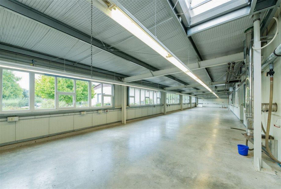 Produktionshalle (Anbau) Haus Eisenach , Th�r