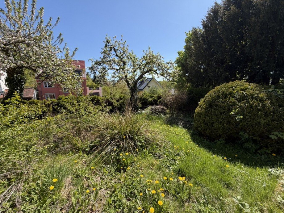 Garten Einfamilienhaus Eisenach
