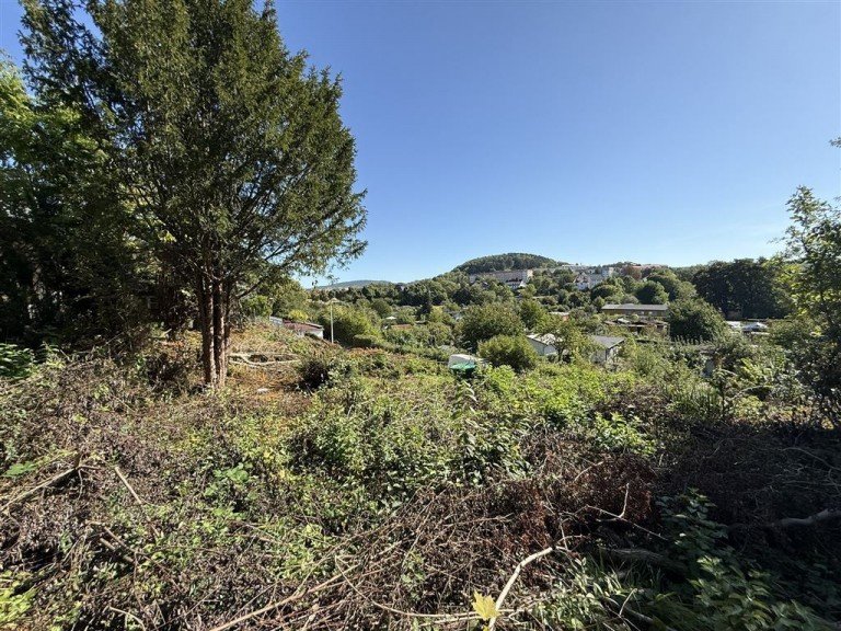 viel Gr�n Eisenach , Th�r Wohngrundst�ck S�dhang & Weitblick: Baugrundst�ck mit Vorbescheid im Eisenacher Palmental